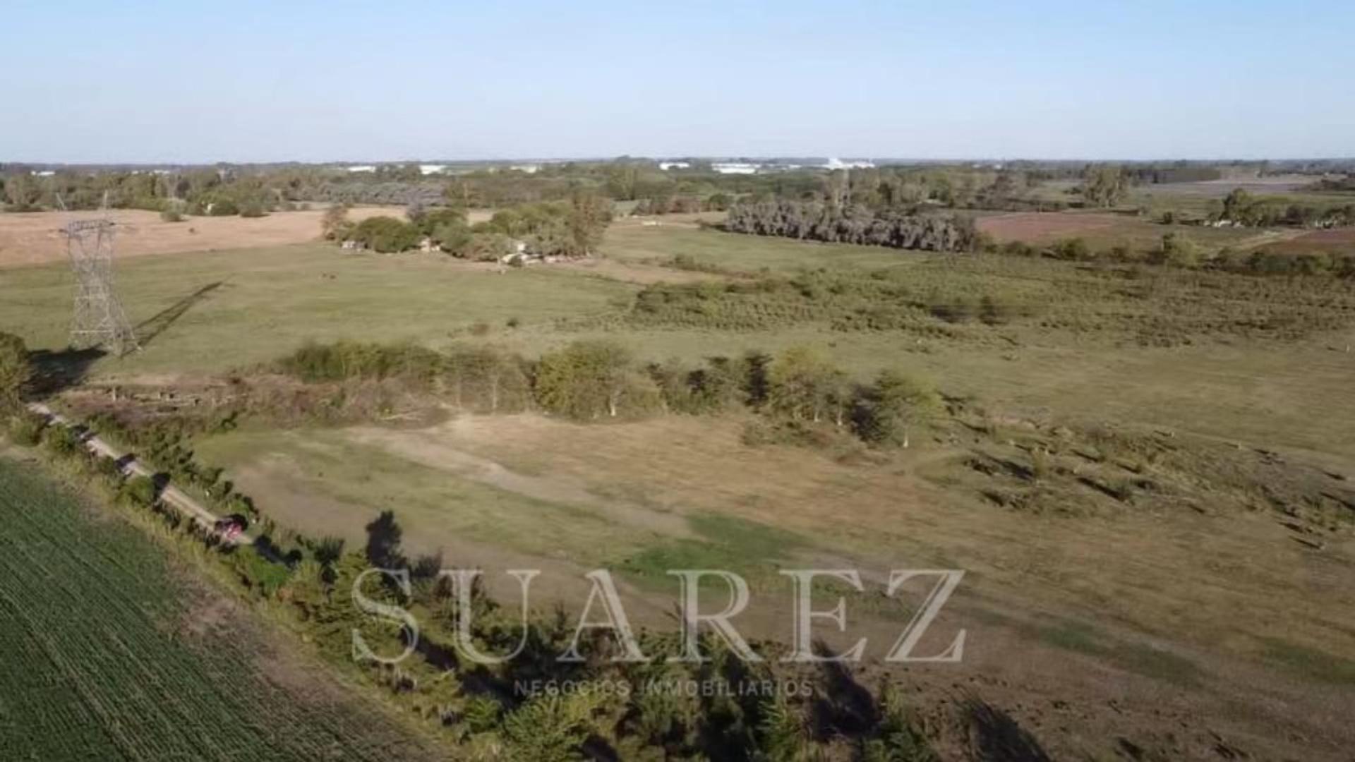 #5361056 | Sale | Farm | Exaltacion De La Cruz (Suarez Negocios Inmobiliarios)