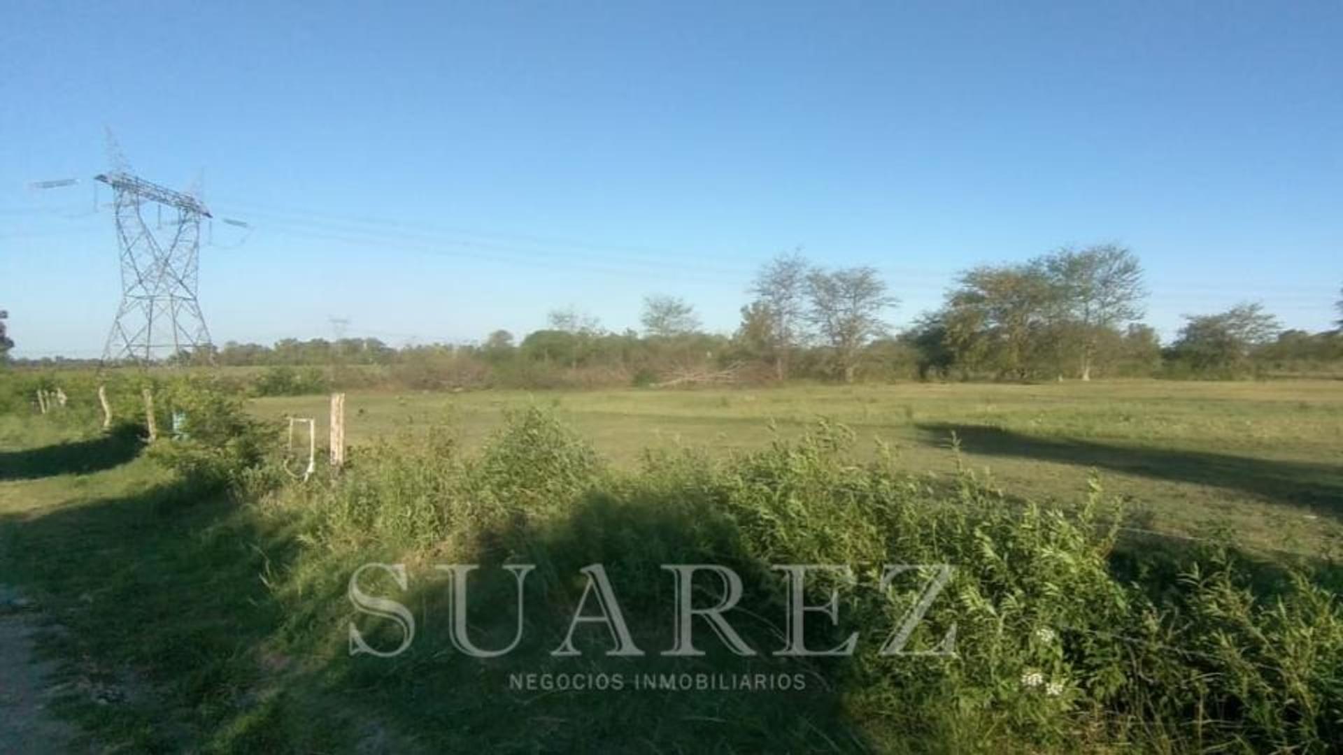 #5362664 | Alquiler | Campo / Chacra | Exaltacion De La Cruz (Suarez Negocios Inmobiliarios)