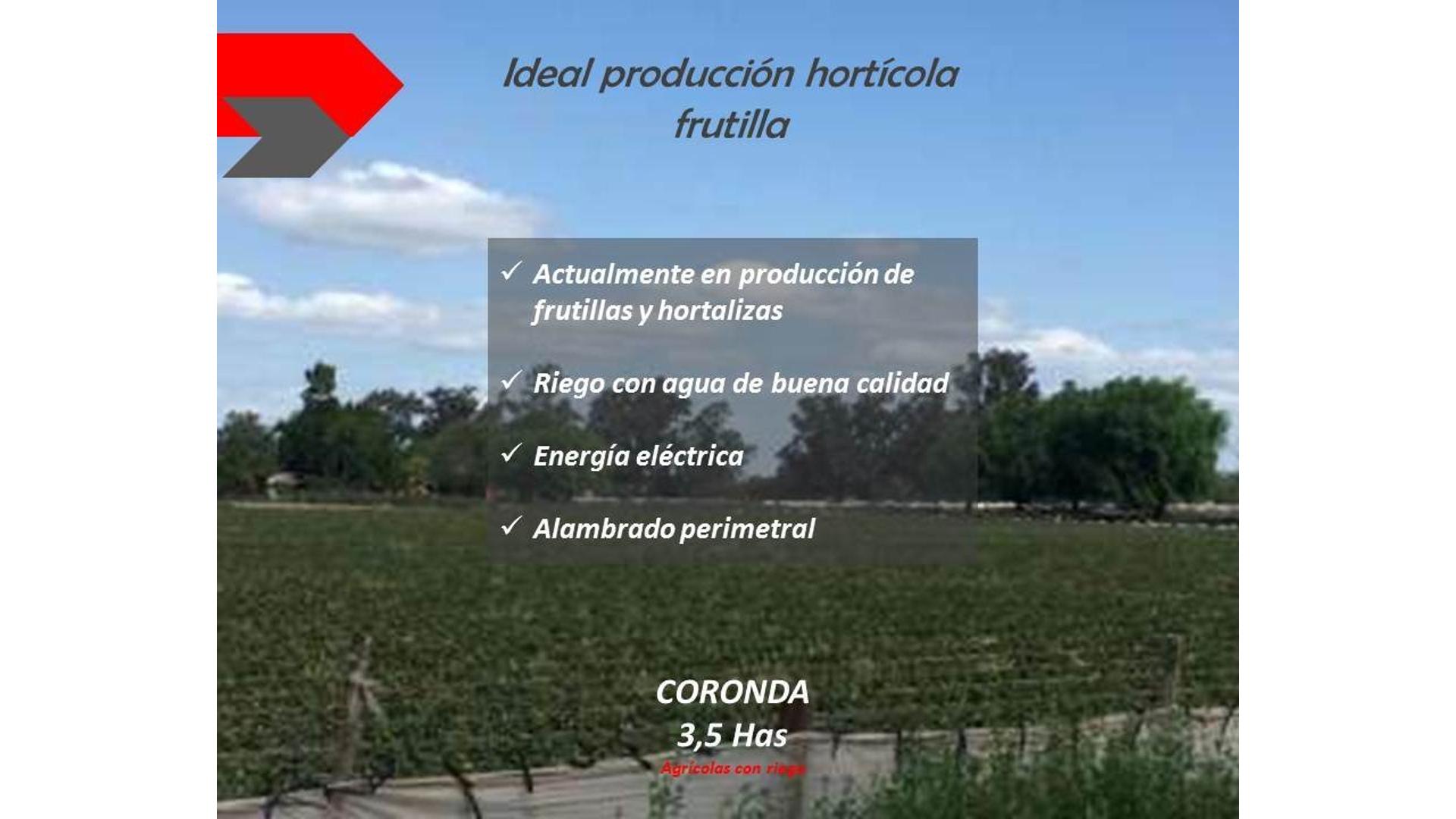 #5366529 | Venta | Campo / Chacra | Coronda (Alianza Real Estate)