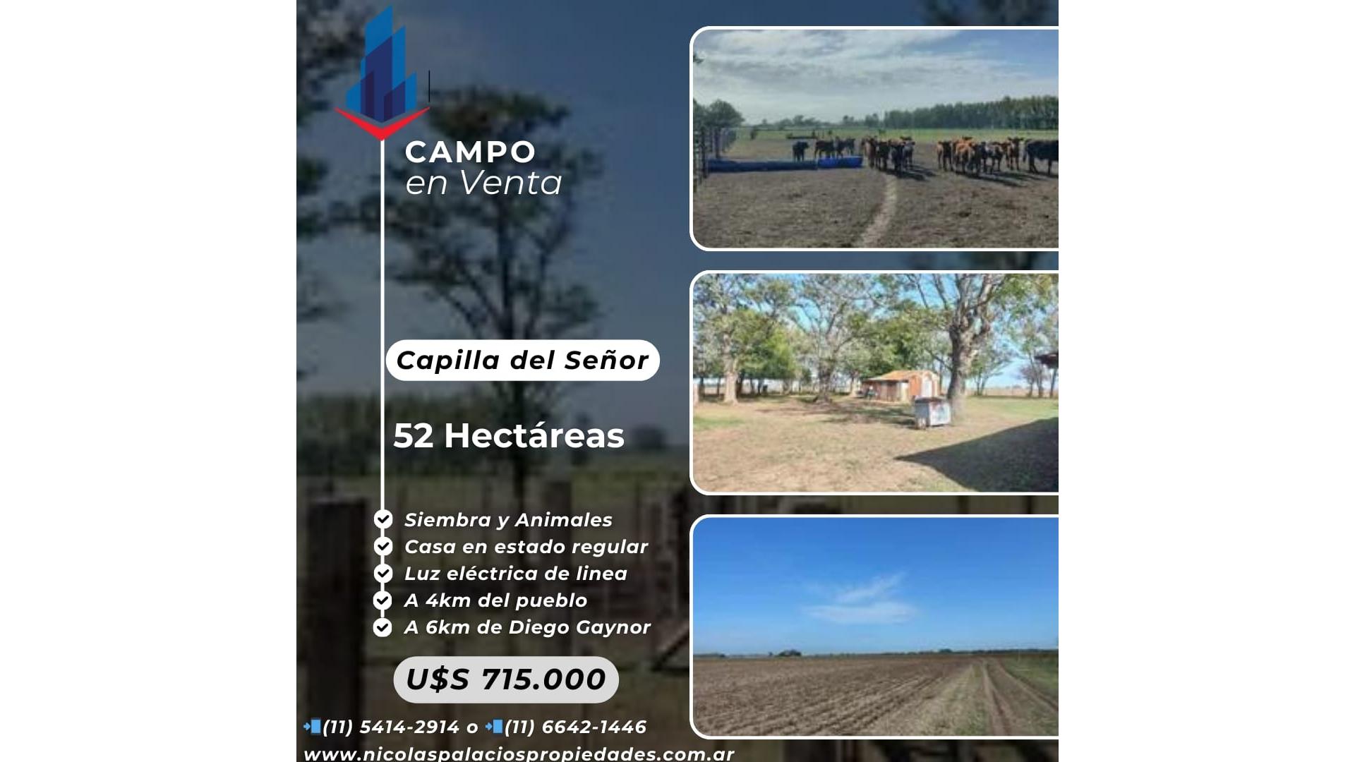 #5365432 | Venta | Campo / Chacra | Exaltacion De La Cruz (Nicolás Palacios Propiedades)