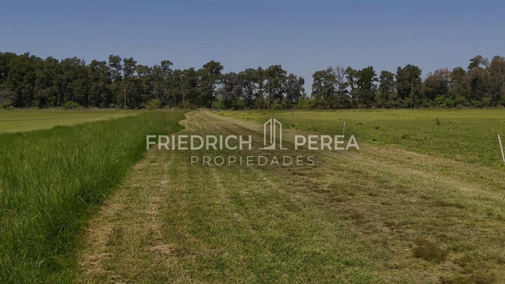 #5376474 | Venta | Campo / Chacra | General Rodriguez (Friedrich Propiedades)