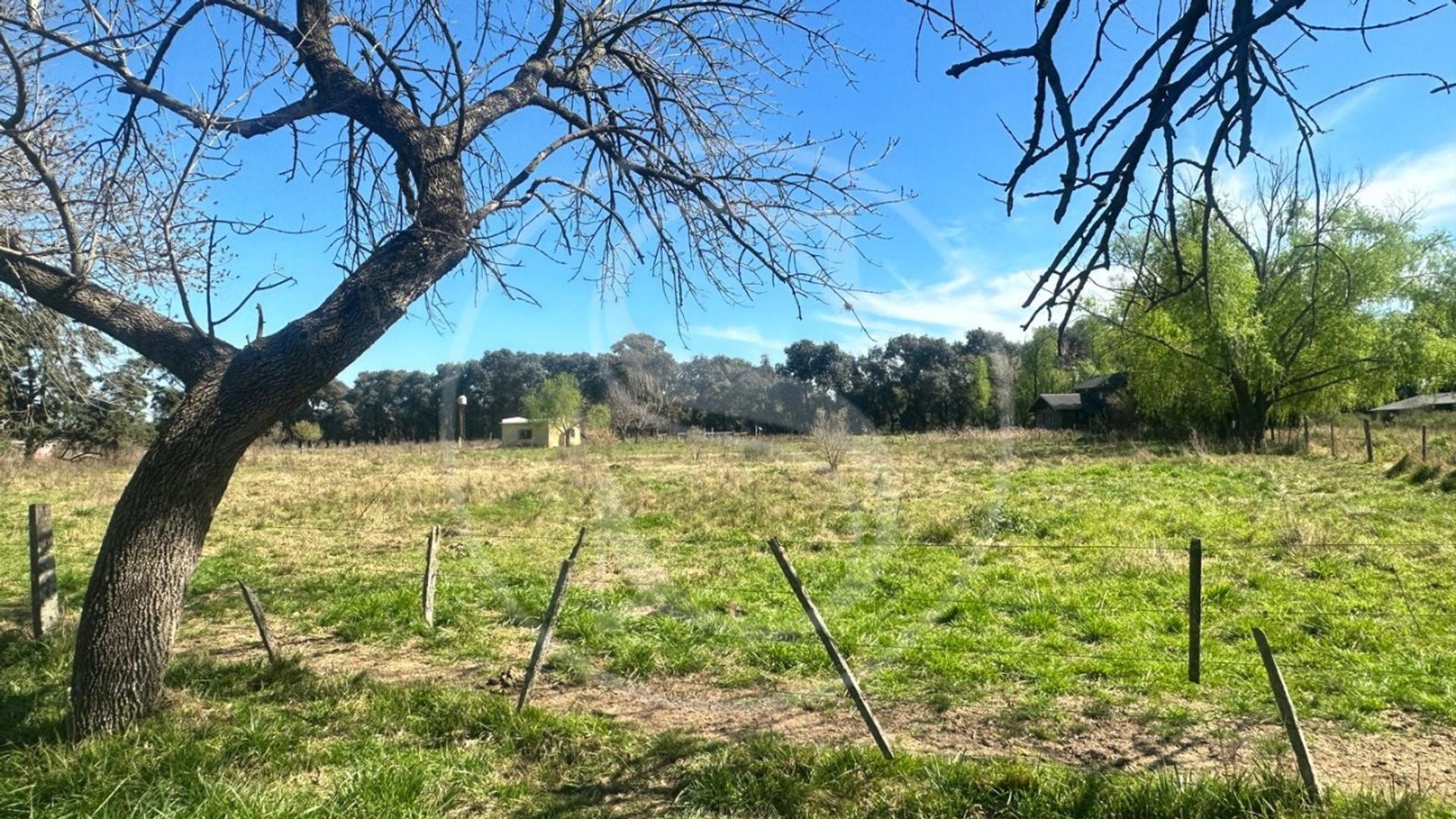 #5410925 | Venta | Campo / Chacra | Exaltacion De La Cruz (Suarez Negocios Inmobiliarios)