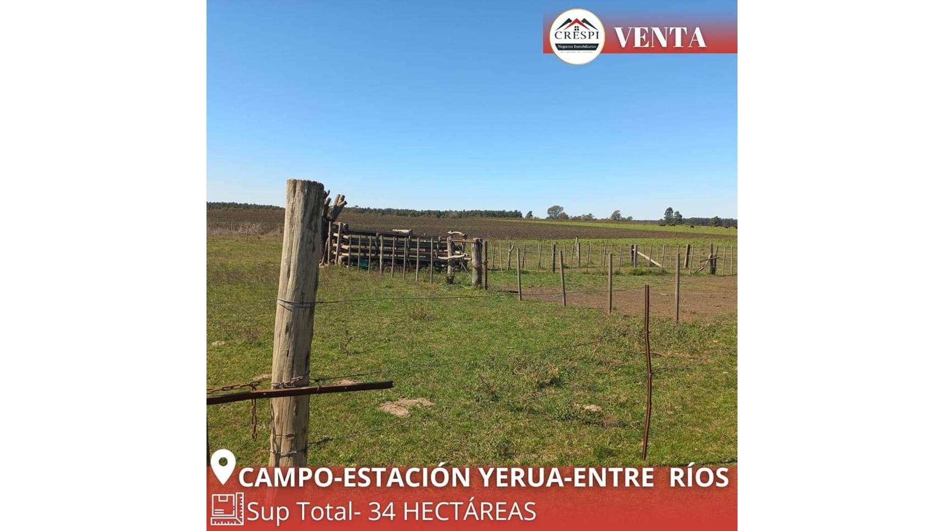 #5381959 | Venta | Campo / Chacra | Estacion Yerua (Crespi Negocios Inmobiliarios)