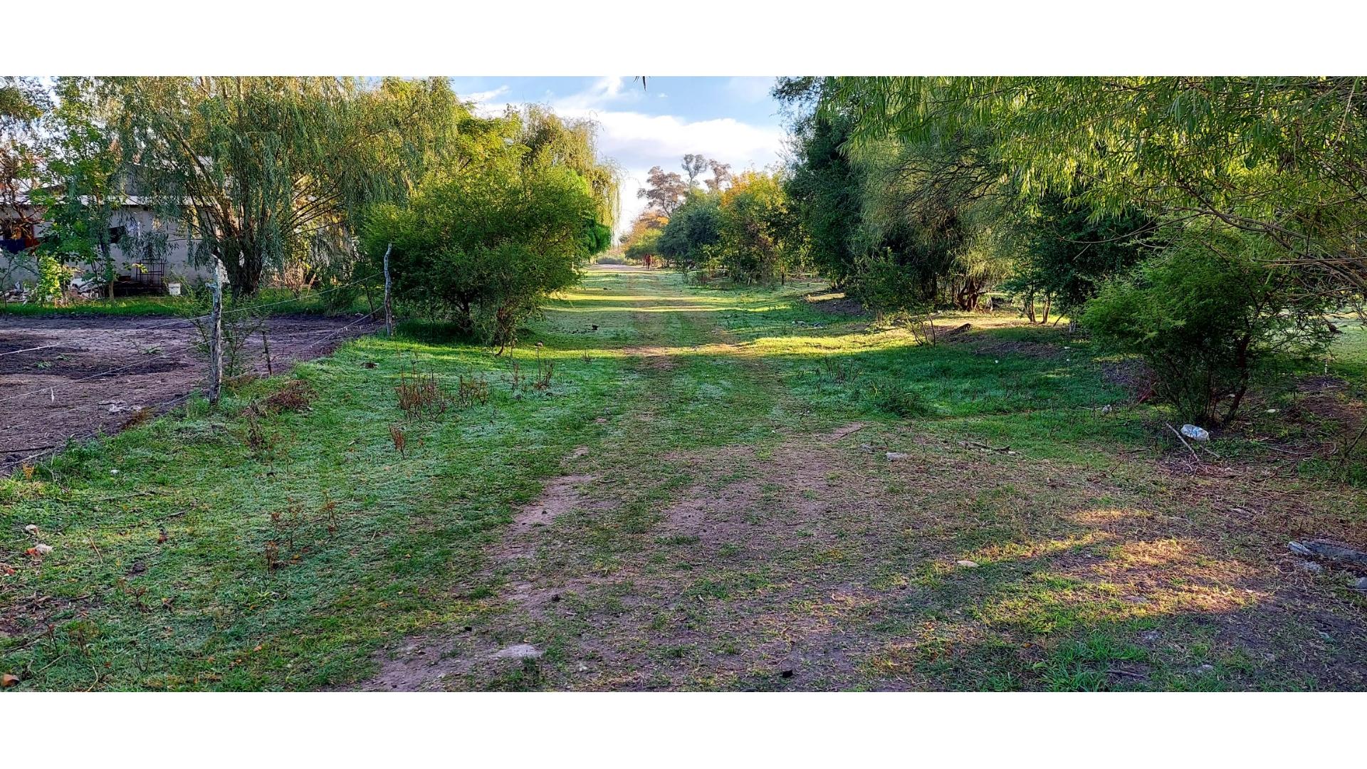 #5381989 | Venta | Campo / Chacra | Gualeguaychu (MANA BIENES RAICES)