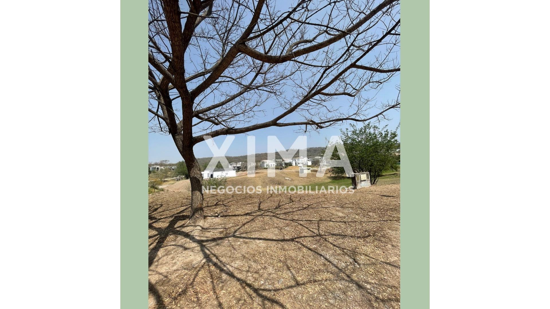 #5386995 | Venta | Lote | Salta (XIMA NEGOCIOS INMOBILIARIOS)