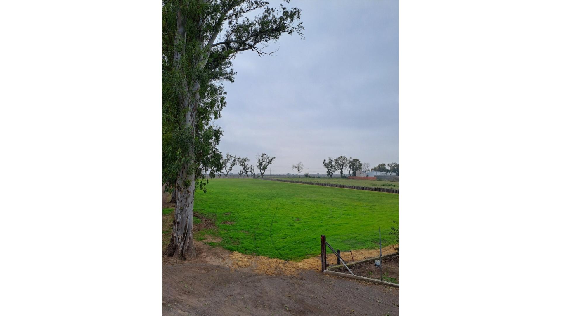 #5389402 | Sale | Farm | San Nicolas De Los Arroyos (Inmobiliaria Wiengreen)