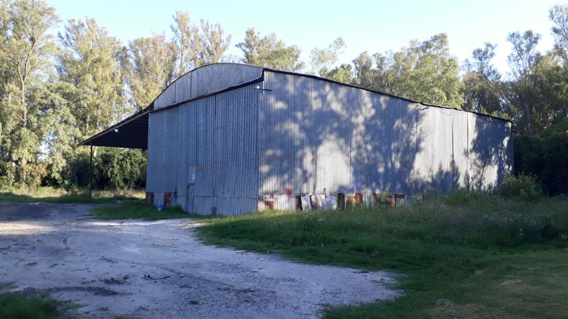 #5396997 | Alquiler | Galpón / Depósito / Bodega | La Plata (AB&Asociados)