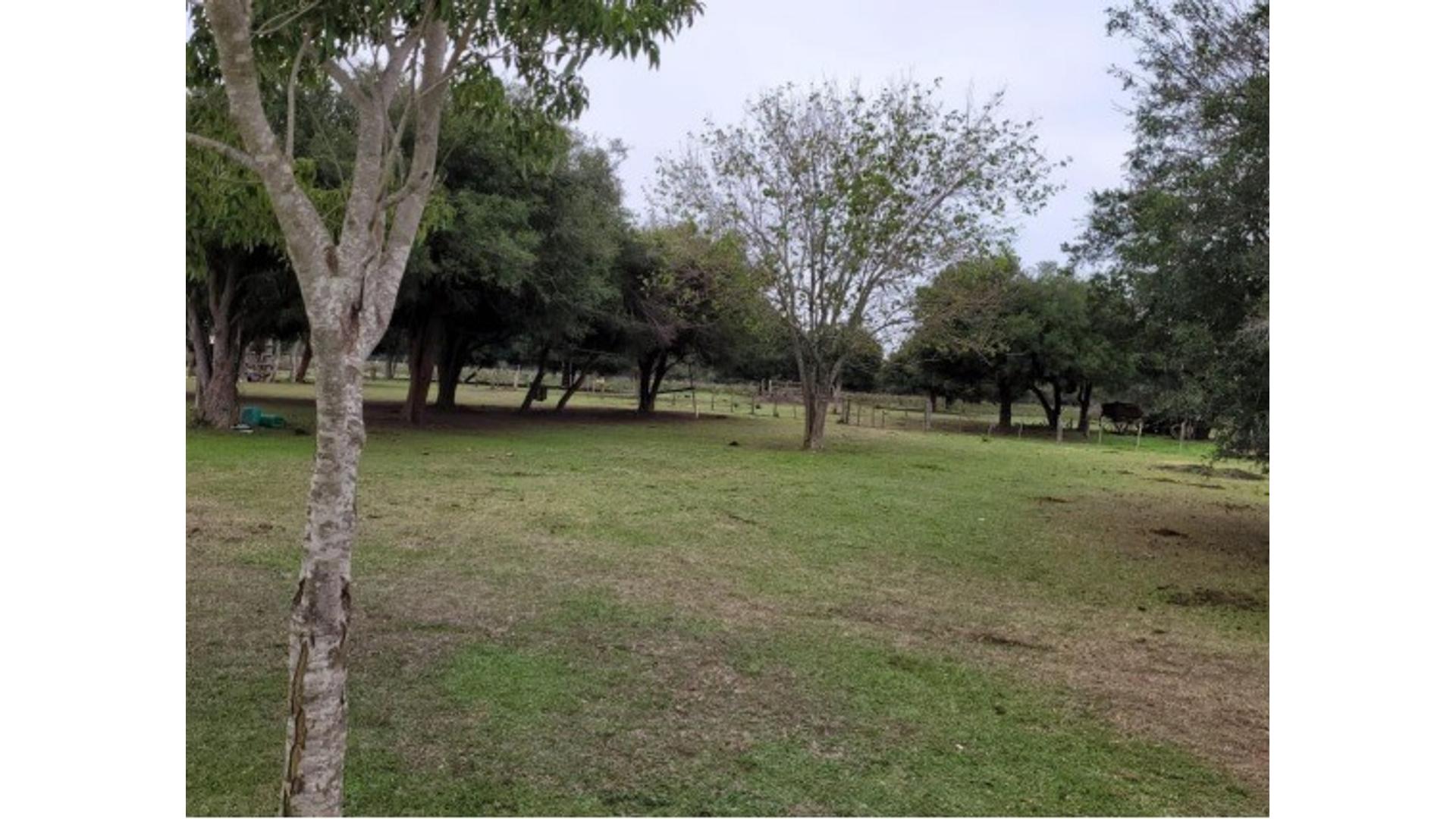 #5408357 | Venta | Campo / Chacra | Sauce (Cng Propiedades)