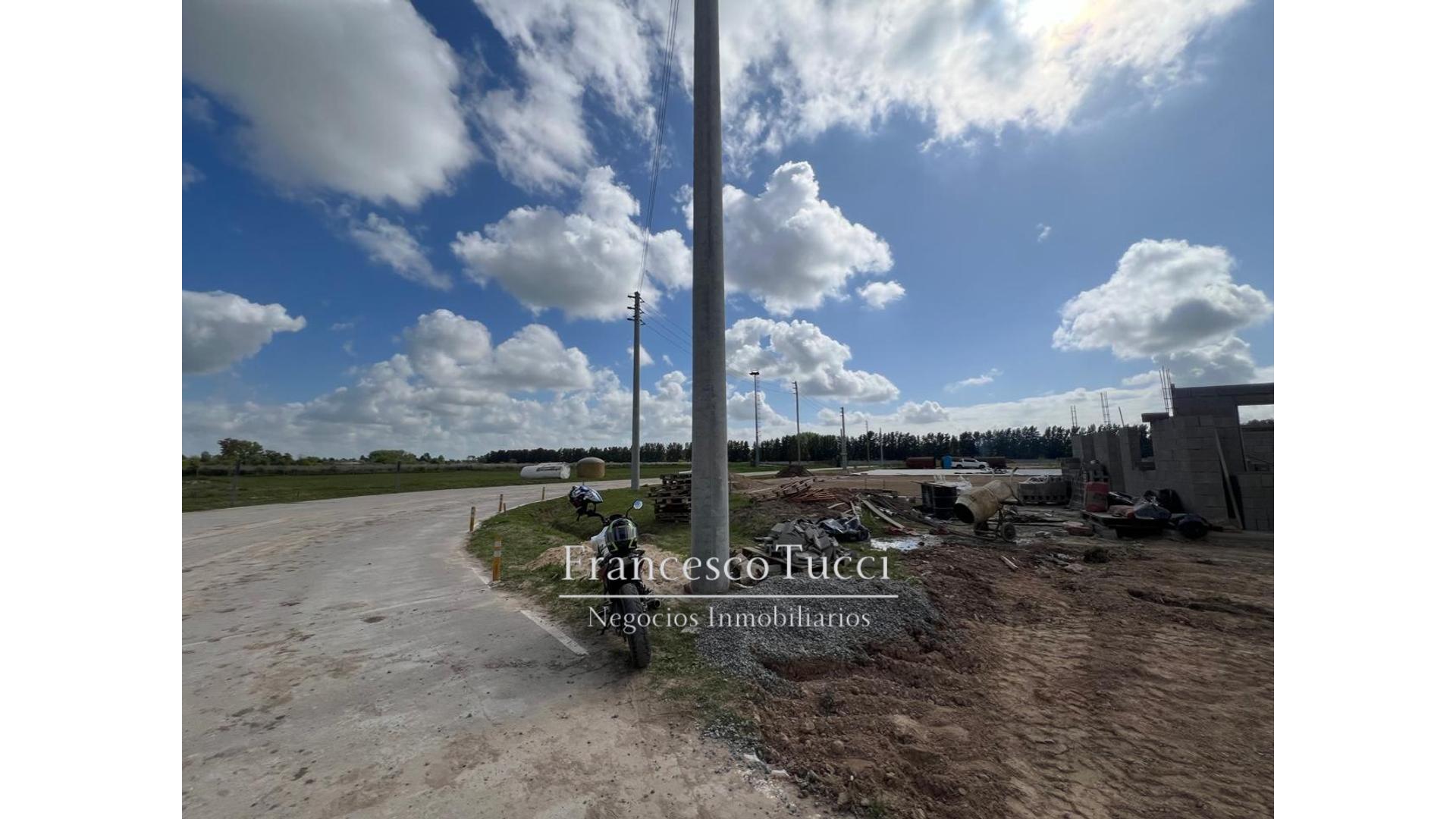 #5408446 | Rental | Warehouse | General Rodriguez (Francesco Tucci Negocios Inmobiliarios)