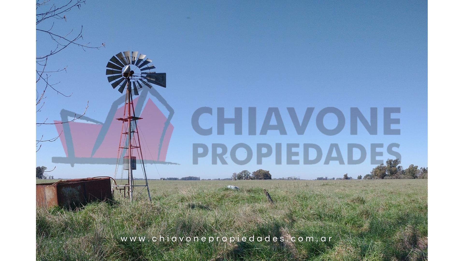 #3981197 | Venta | Campo / Chacra | Navarro (Chiavone Propiedades)