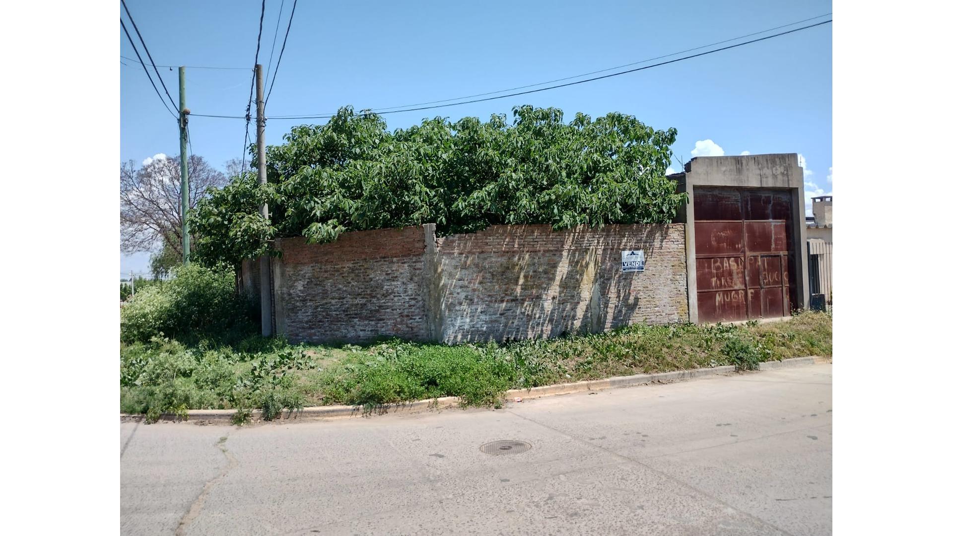 #5413283 | Sale | Warehouse | San Pedro (Gonzalez Truyols)