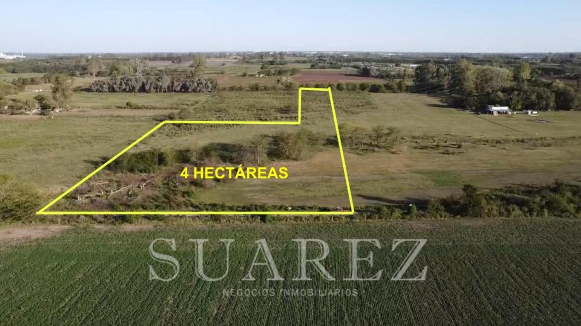 #5415736 | Sale | Farm | Exaltacion De La Cruz (Suarez Negocios Inmobiliarios)