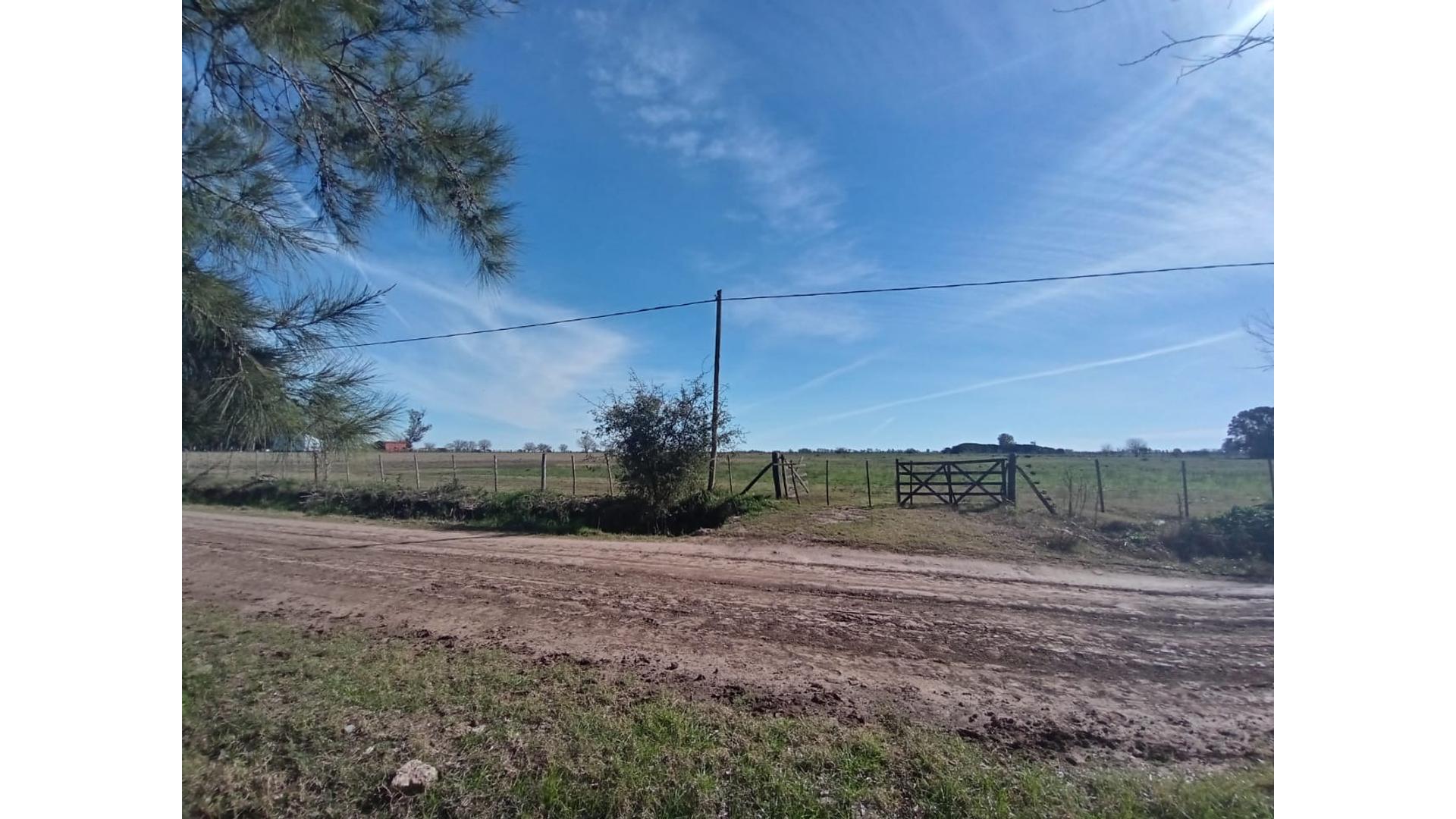 #5420518 | Sale | Farm | San Andres De Giles (Suarez Negocios Inmobiliarios)