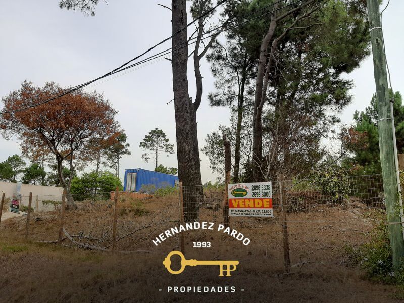 #5198310 | Sale | Lot | El Pinar (Hernandez Pardo Inmobiliaria)