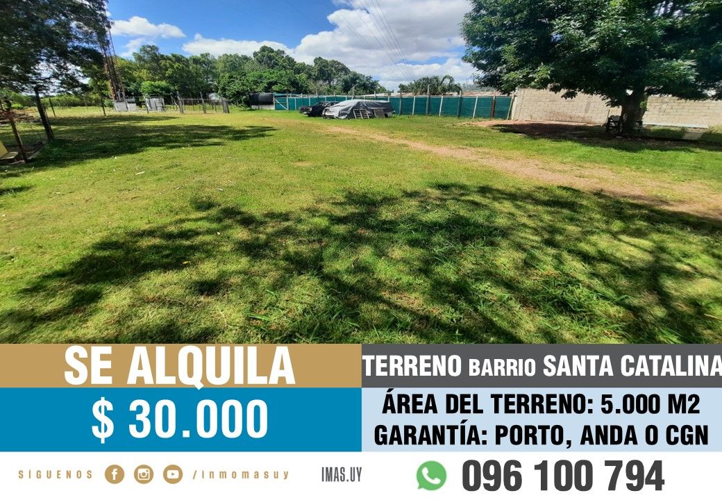 #5468206 | Alquiler | PH | Montevideo (Inmobiliaria MAS)