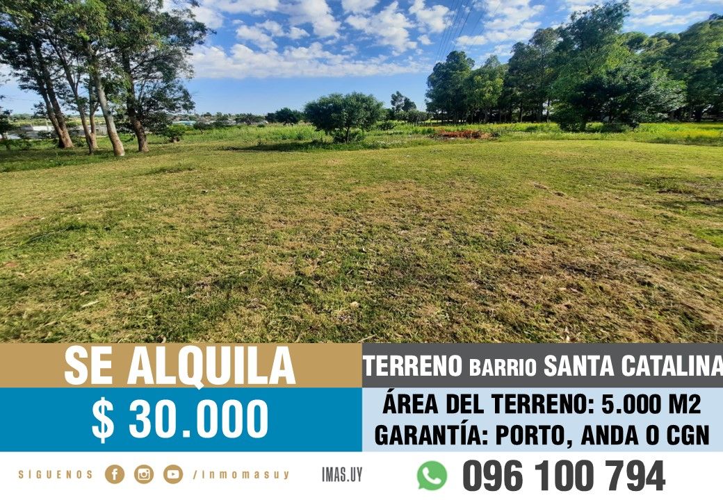 #5468208 | Alquiler | PH | Montevideo (Inmobiliaria MAS)