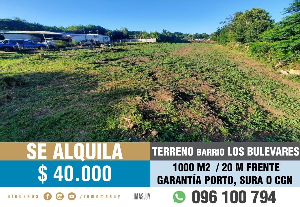 #5468622 | Alquiler | Lote | Montevideo (Inmobiliaria MAS)