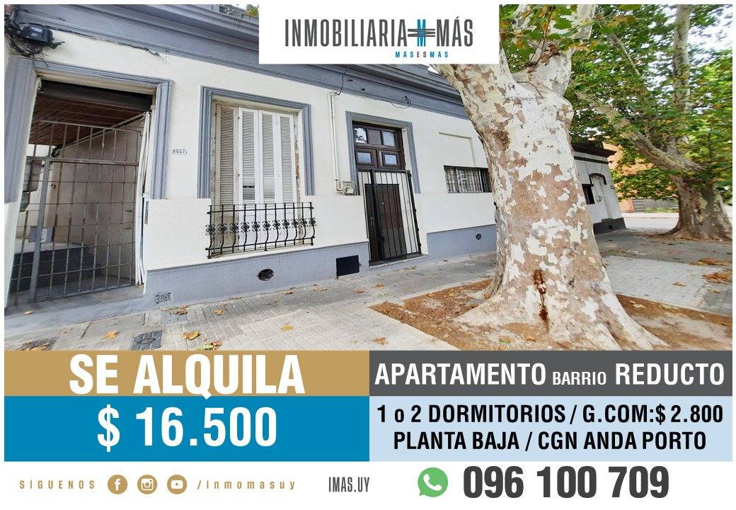 #5493158 | Alquiler | PH | Montevideo (Inmobiliaria MAS)