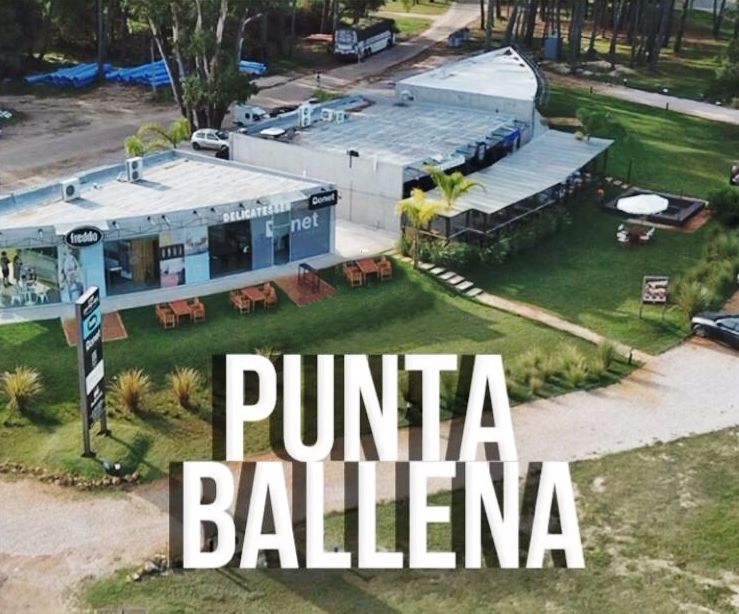 #1987885 | Alquiler | Local | Punta Ballena (Marina Risso Inversiones)