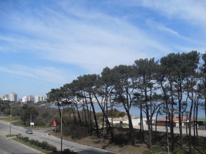 #4394179 | Alquiler Temporal | Departamento | Punta del Este (Marina Risso Inversiones)