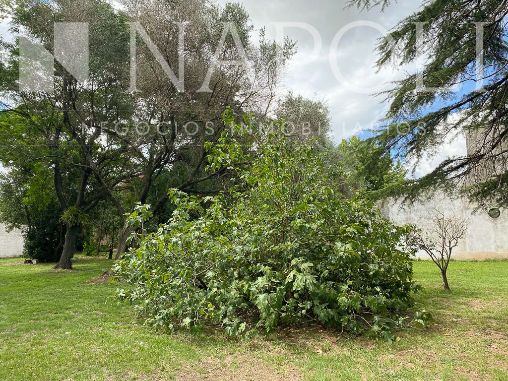 #5367041 | Venta | Lote | Monte Grande (Napoli Negocios Inmobiliarios)