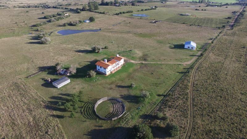 #1227406 | Venta | Casa Quinta | Maldonado (Punta Ballena Inmobiliaria)