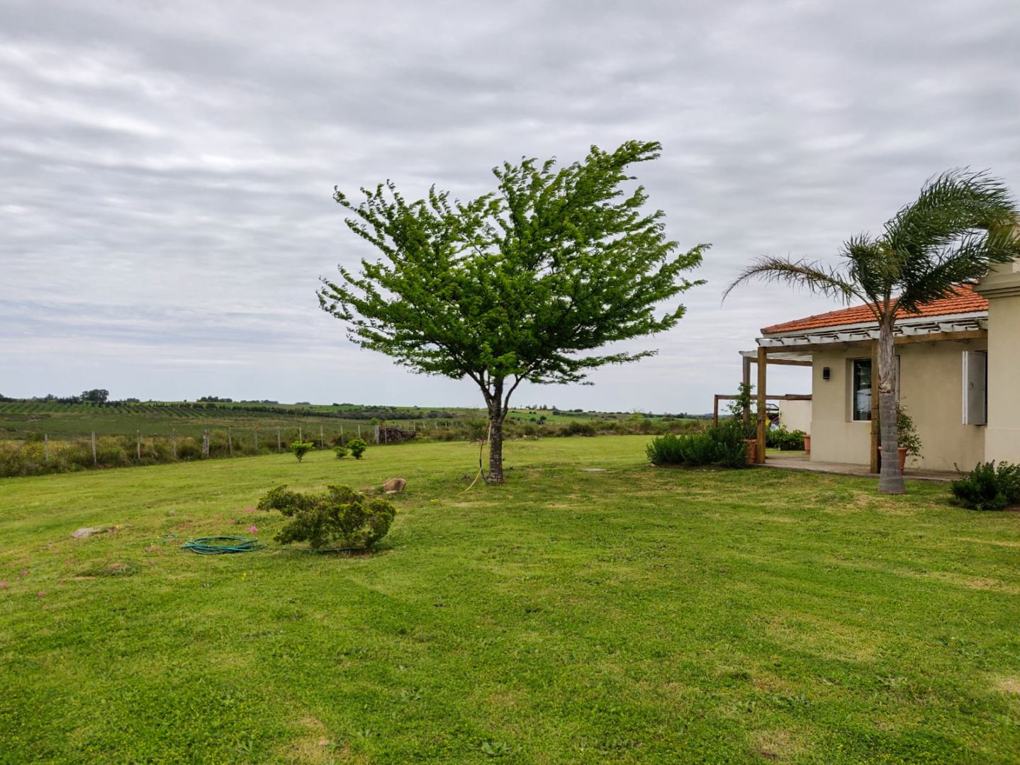 #2340543 | Sale | Country House | Colonia Cosmopolita (Punta Ballena Inmobiliaria)