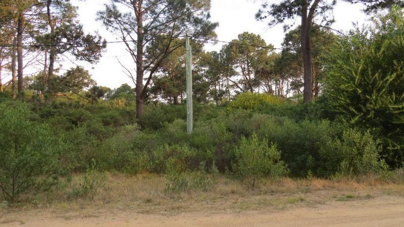 #1227216 | Sale | Lot | Punta Ballena (Punta Ballena Inmobiliaria)